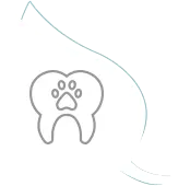 Pet Dental Services