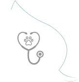 Vet Wellness Exams Mandeville