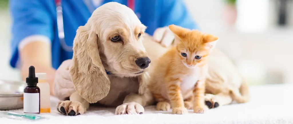 Pet Wellness Exams