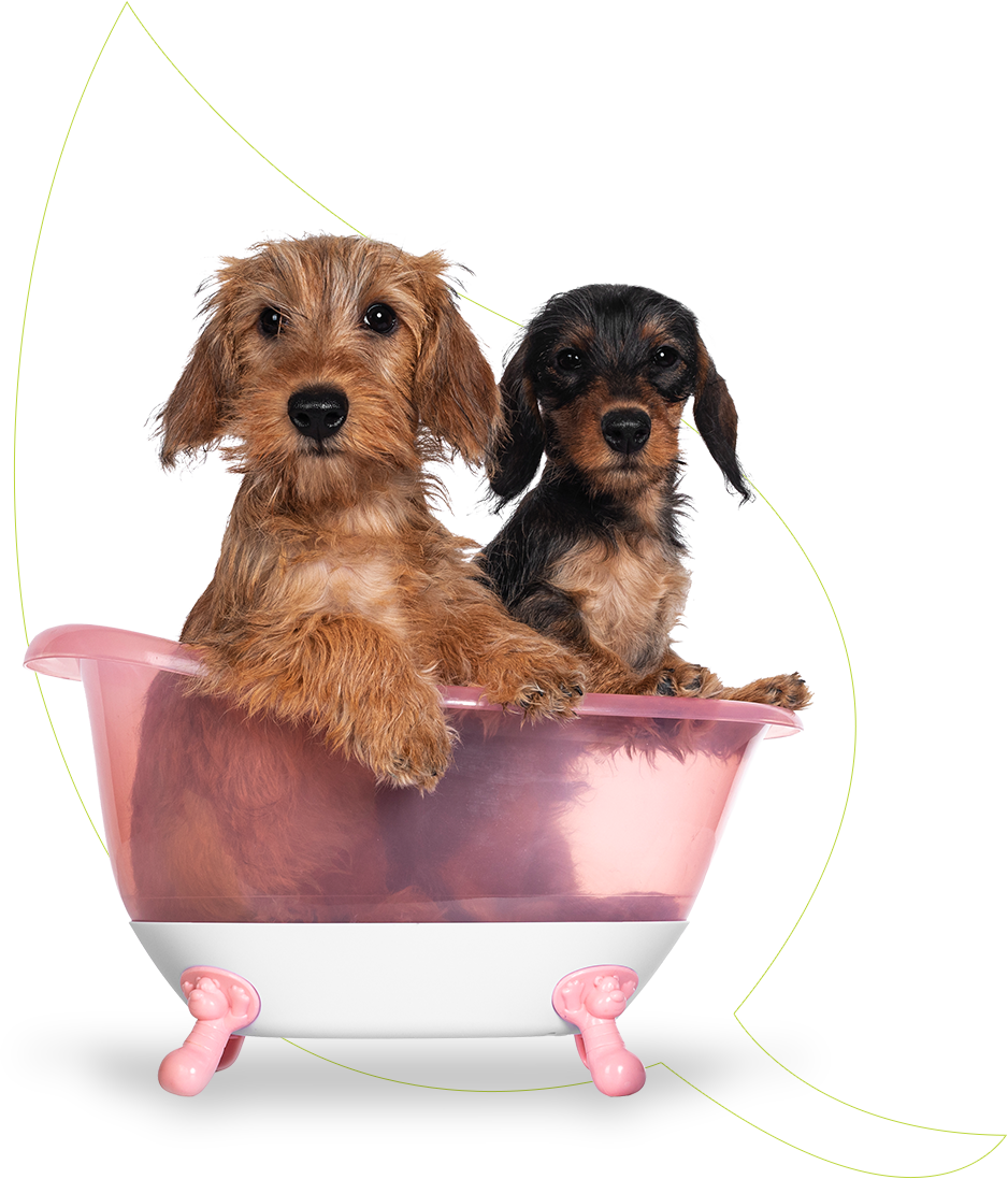 Mandeville Pet Med Spa