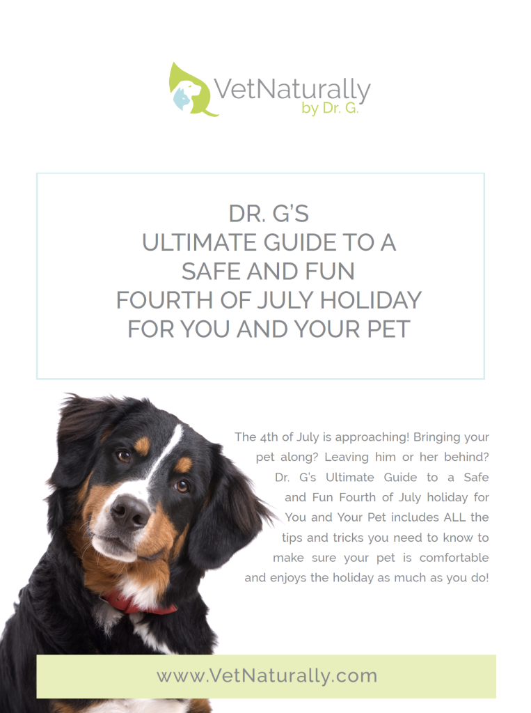 Dr G's Guide To Safe Fourth Of July