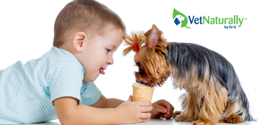 Is It OK to Give Dogs Milk? - VetNaturally™ by Dr. G